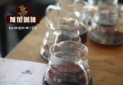 Red Label Geisha from Ethiopia? Introduction to the Flavor Characteristics of Geisha Village Red Label Geisha Coffee Beans