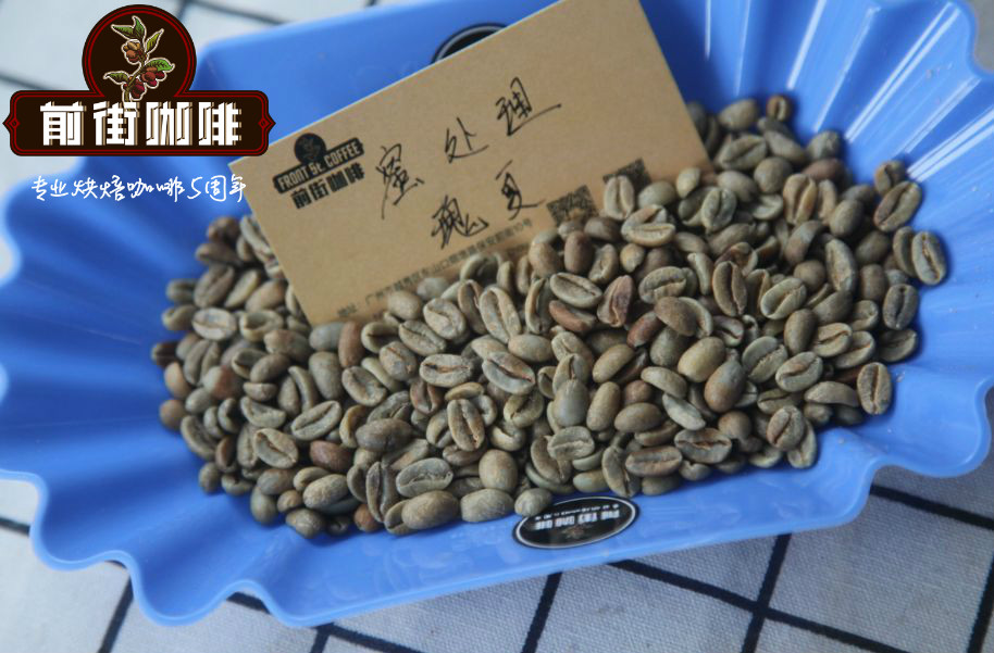 Green Geisha Coffee Beans