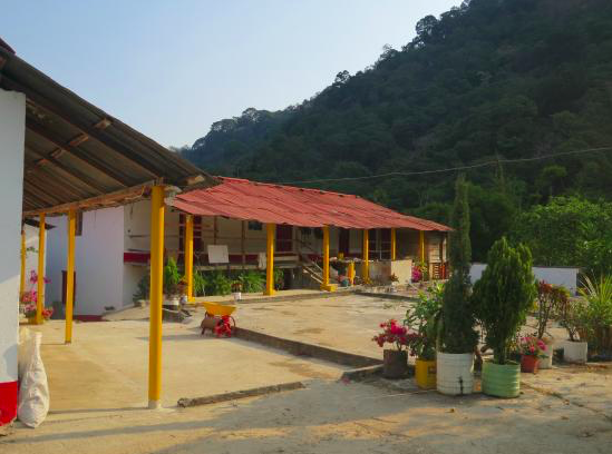 Coffee Cherries at Finca El Paraiso