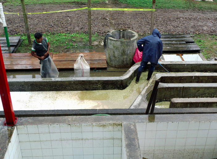 Washed Processing Method