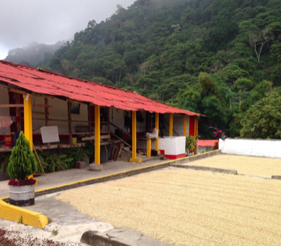 Finca El Paraiso Estate