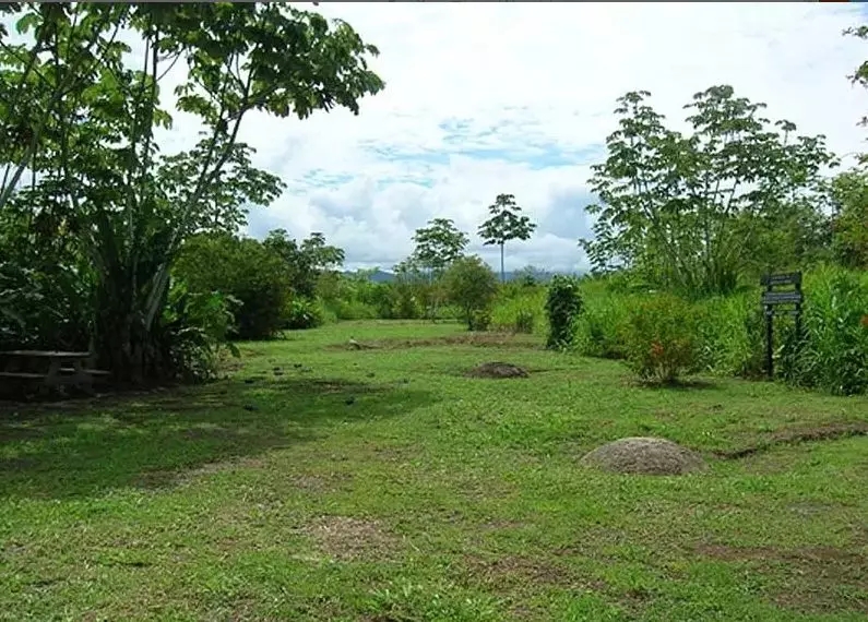 Coffee processing equipment