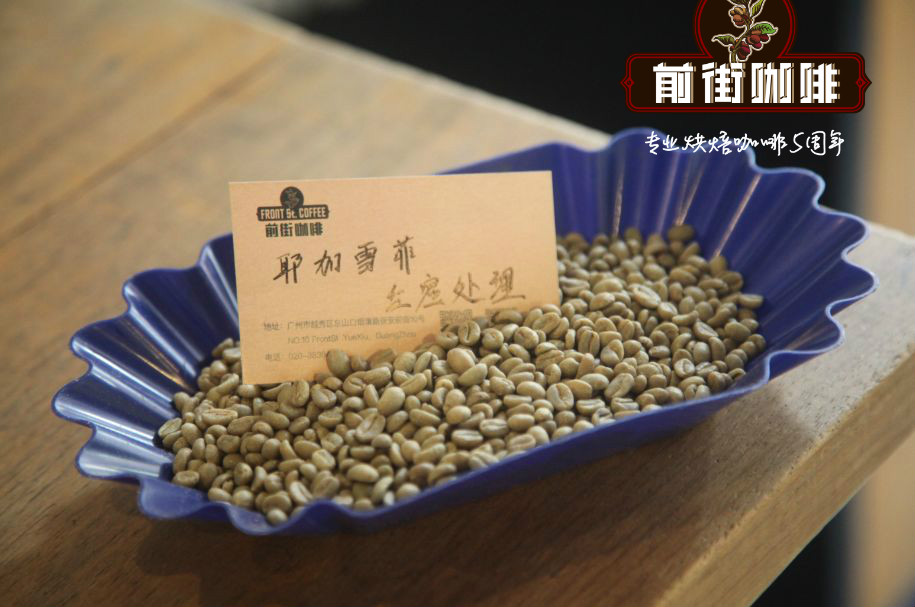 Green Coffee Beans