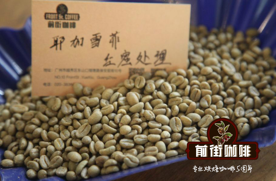 Various Ethiopian Coffee Bean Shapes