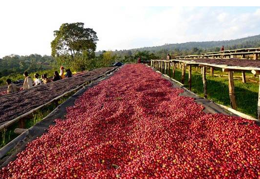 Natural Processing Method