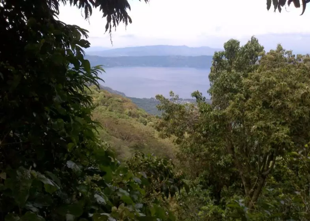 Volcanic soil at Montes El Corazo Estate