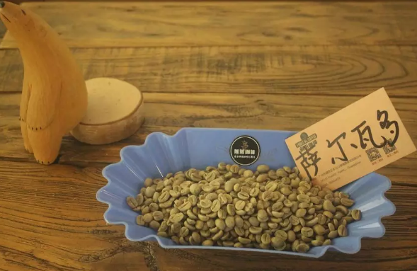 Coffee cherries on the branch