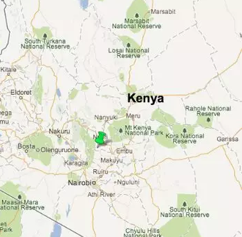 Natural processed coffee cherries