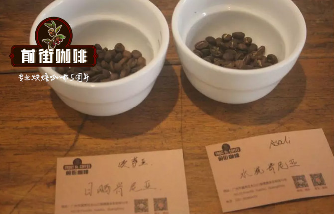 Green beans comparison