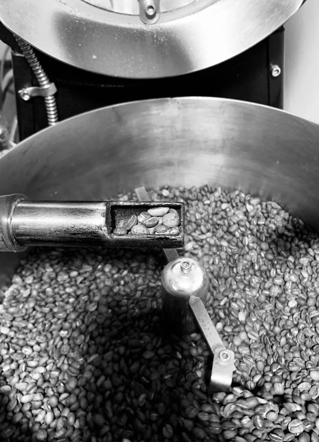 Coffee bean selection process