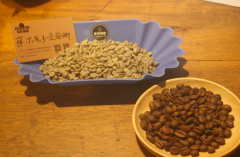 【FrontStreet Coffee Barista's Notes】El Salvador Santa Ana Chocolate Lover's Estate Coffee Special Report