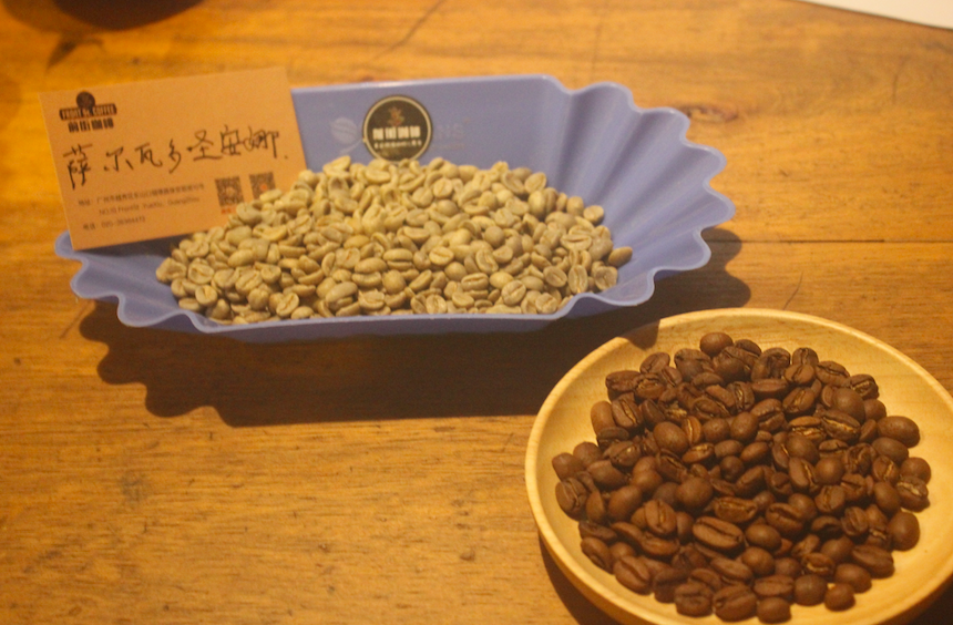 Coffee beans from Finca Guayabo Chocolate Lover Estate