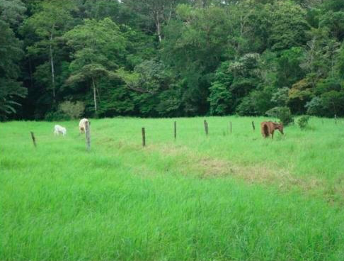 Scenic view of Finca Guayabo estate