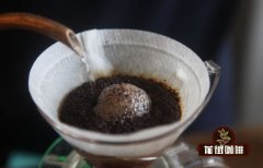 Why Bloom in Pour-Over Coffee | How to Judge Coffee Bloom Situation | How Long Should Bloom Time Be