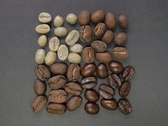 What Coffee Beans Are Suitable for Beginners? How Should You Choose When Buying Coffee Beans for the First Time?