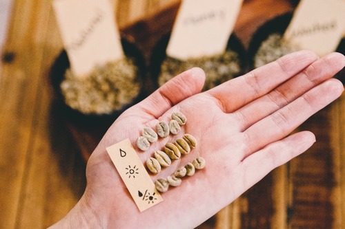 Coffee knowledge exchange and more coffee bean information