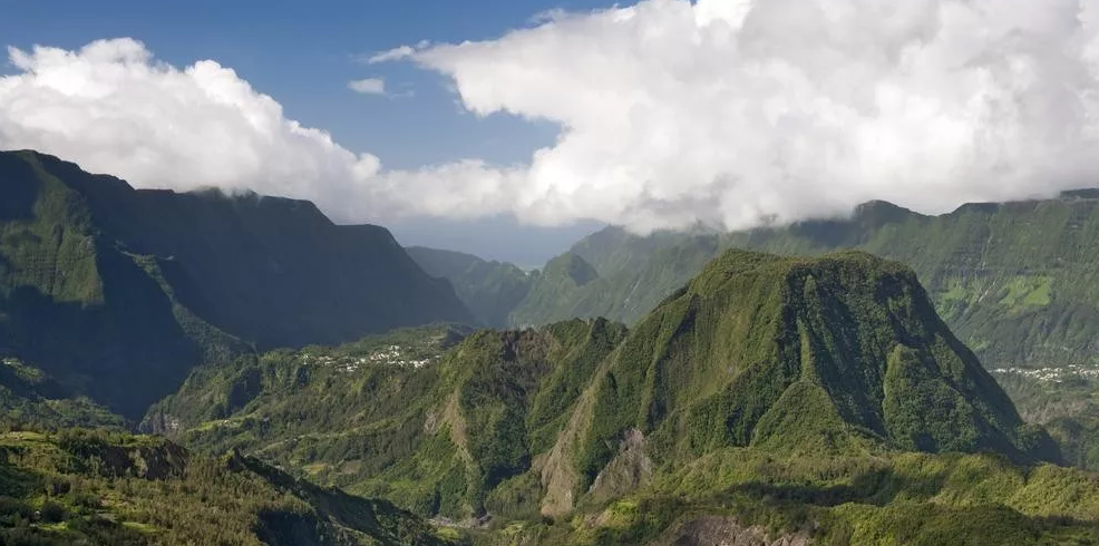 Historical Document about Laurina