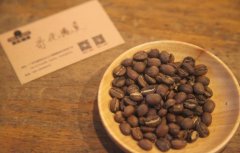 Coffee Bean Recommendations for Beginners - What Coffee Is Suitable for Novice Enthusiasts?