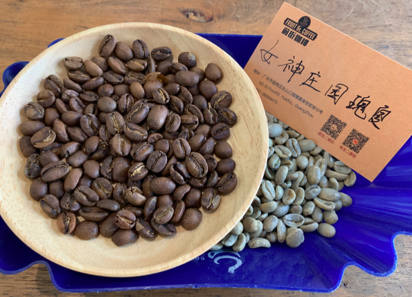 Costa Rica Dota El Diosa Geisha Coffee Beans