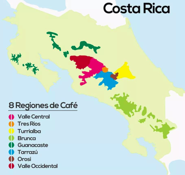 Costa Rica Coffee Harvest Seasons
