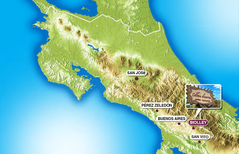 Diversa Garden Landscape