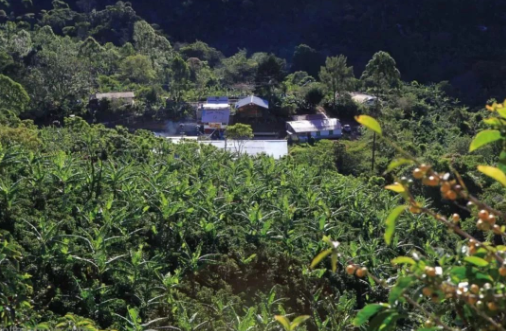 Map of Nicaragua showing coffee growing regions