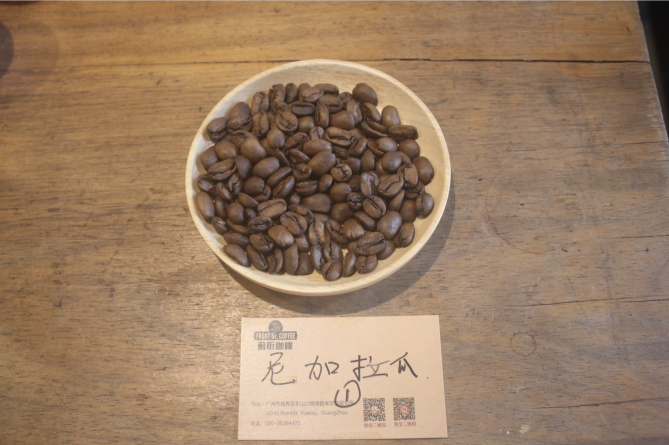 Nicaragua La Andria Estate Maracaturra coffee beans