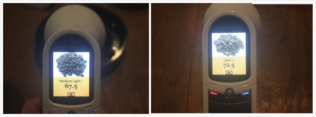 FrontStreet Coffee's roasted Maracaturra beans