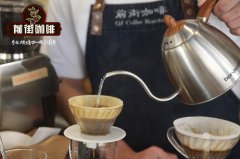Geisha Coffee Flavor Profile & Characteristics | Brewing Methods Guide