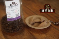 Premium Coffee Bean Recommendations: Costa Rican La Piedra F1 Complex and Rich Fruit Flavors