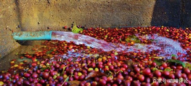 Washed processing diagram