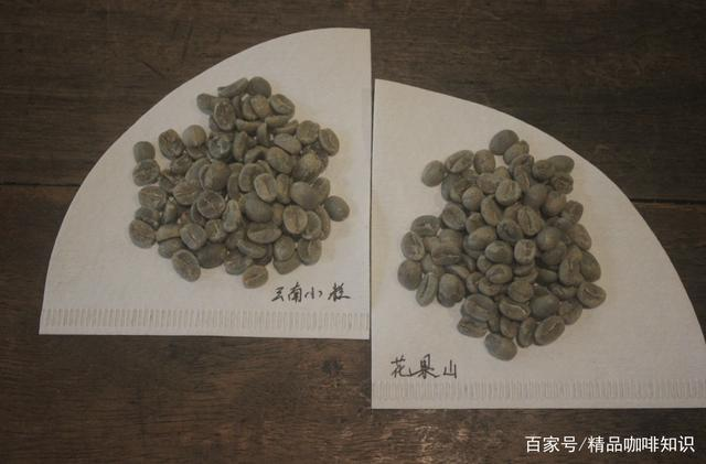 Yunnan coffee beans comparison