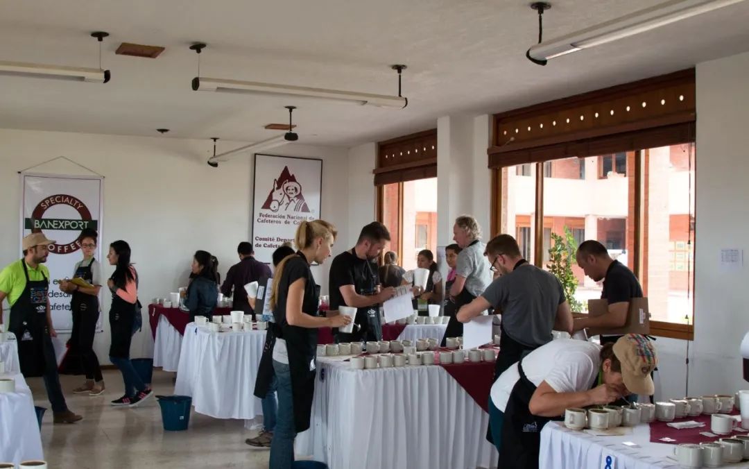 Cauca Best Cup Competition