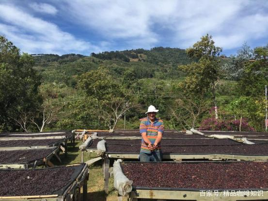 Pilon processing plant