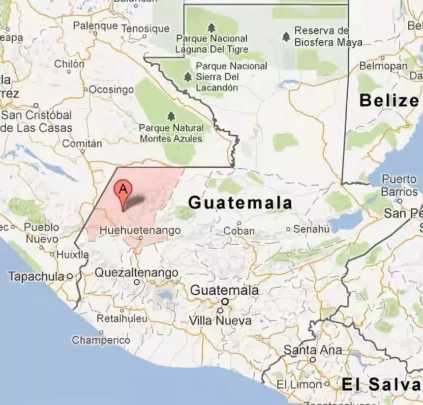 Coffee farm landscape