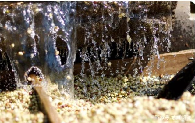 Coffee roasting process