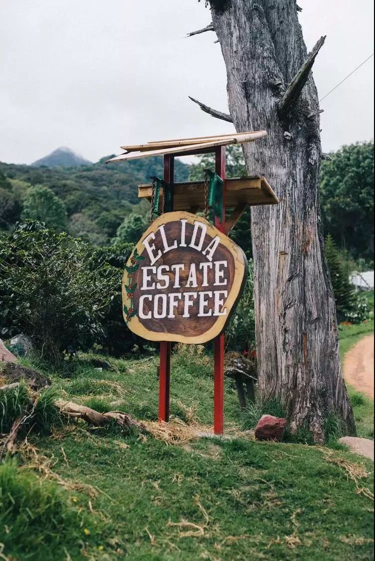 Elida Estate coffee plantation and facilities