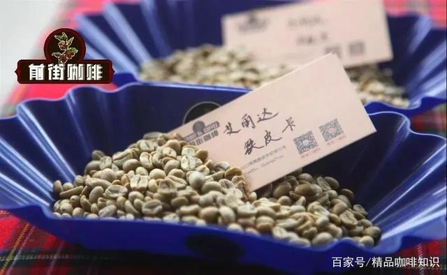 FrontStreet Coffee Elida Estate green bean analysis chart