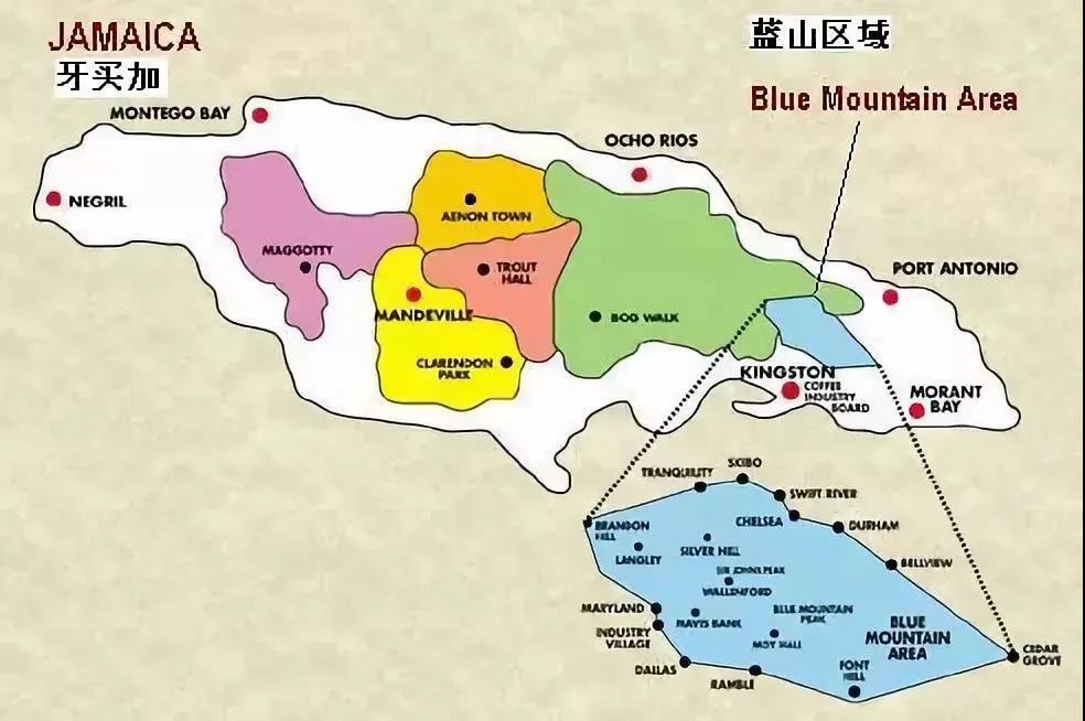 Jamaican Blue Mountain coffee