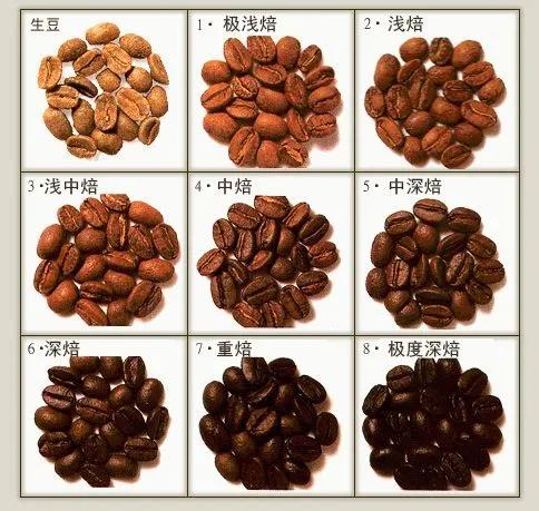 SCA coffee roasting level chart