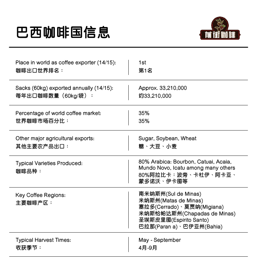 Brazil coffee landscape