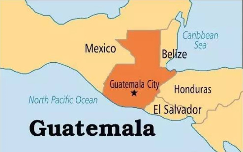 Guatemala coffee landscape