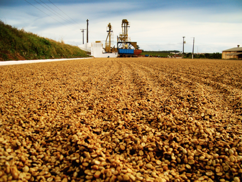 Brazil coffee competition