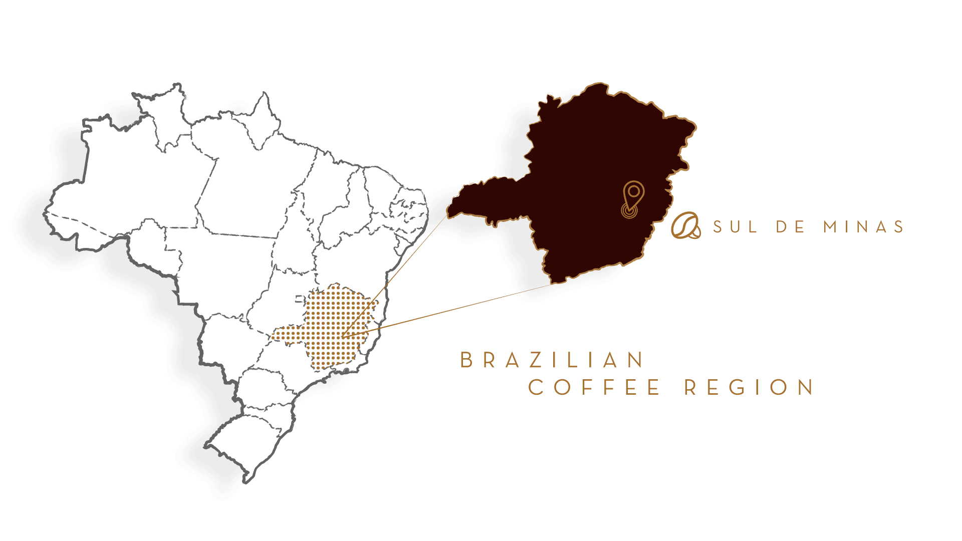 Minas Gerais coffee landscape