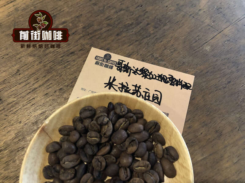 FrontStreet Coffee Costa Rica Mirasu Estate Geisha Blend