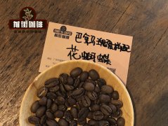 Single Origin Blend Coffee Beans Costa Rica Mira Su Geisha Panama Butterfly Geisha Blend