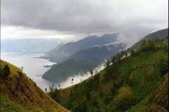 The Story of Sumatra Mandheling Coffee Beans - Flavor Profile of Lindong Mandheling & Golden Mandheling