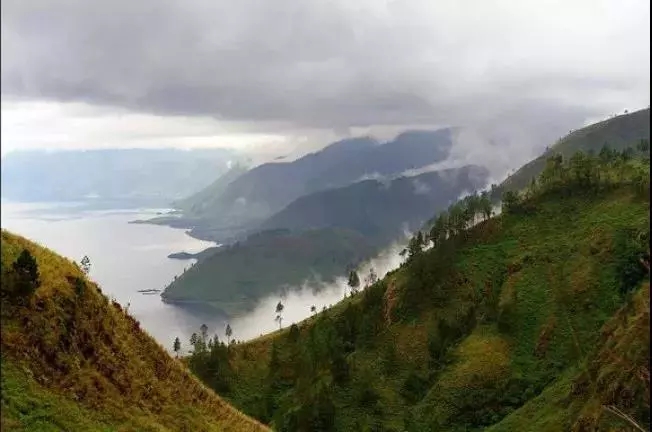 Sumatran Mandheling coffee beans