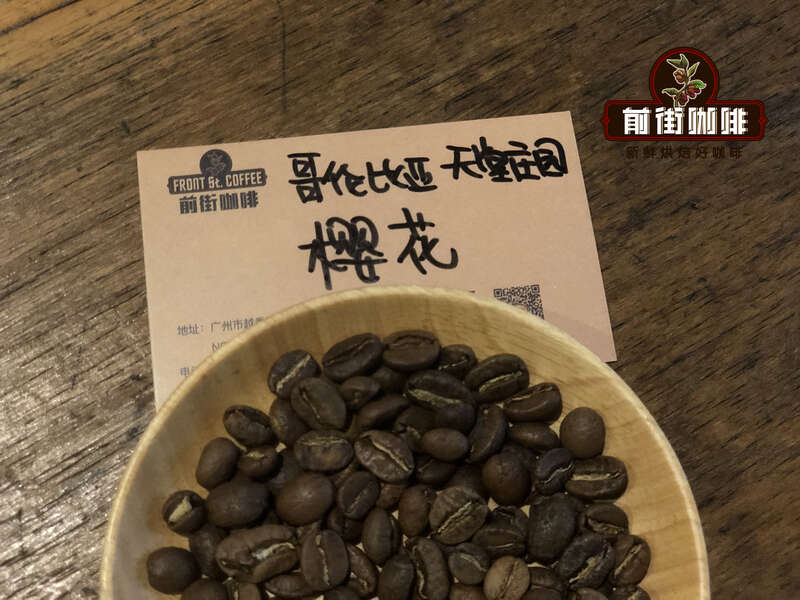 Colombia Coffee Beans