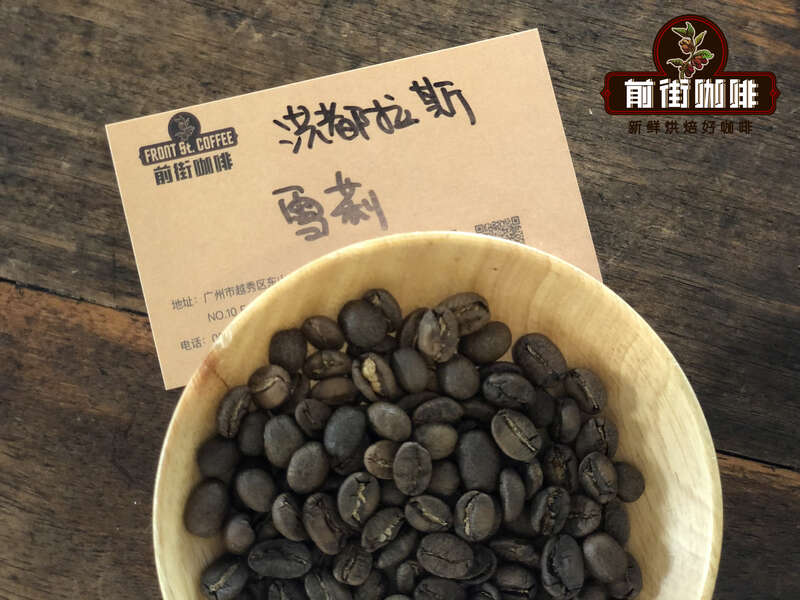 Honduras Coffee Beans